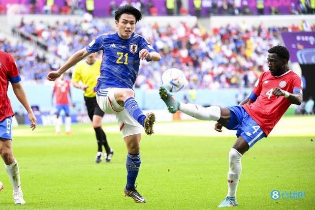 的这一精彩 的这一精彩